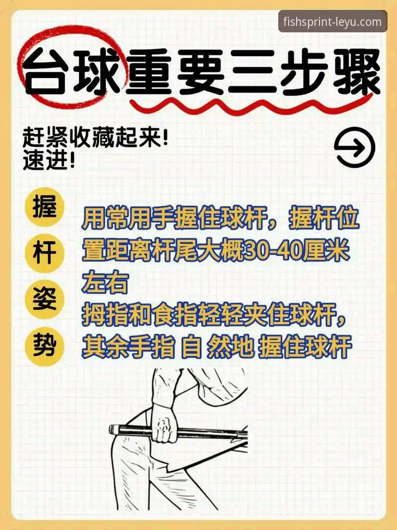 乐鱼体育使用教程有哪些关键步骤？新手如何快速上手？